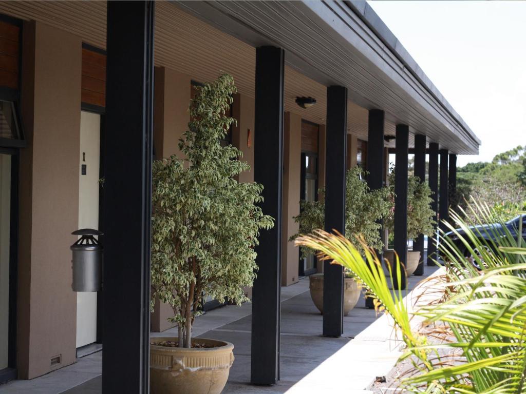 Tonsley Hotel Adelaide Eksteriør bilde
